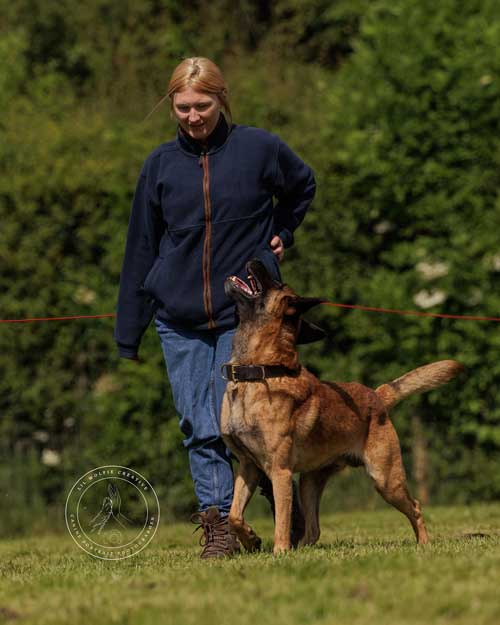 Dog-Trainer-Telford